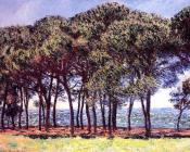 克劳德莫奈 - Pine Trees, Cap d'Antibes